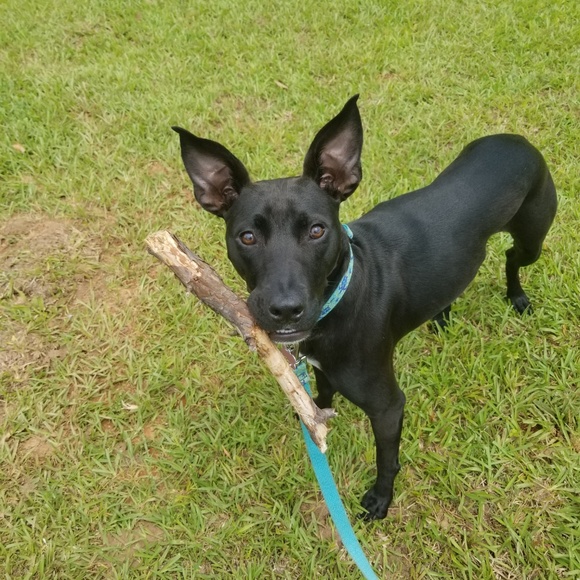 Meet your Posher, Ashley - Picture 3 of 3